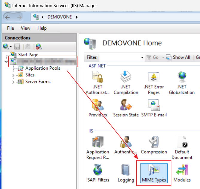 IIS Manager server home with the MIME Types feature highlighted
